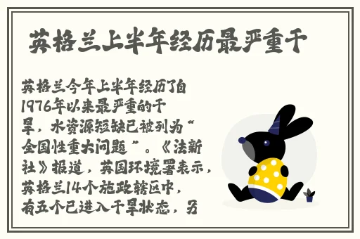 杏花8855.T